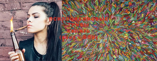 ГАЛЛЮЦИНОГЕННЫЕ ГРИБЫ Волоколамск